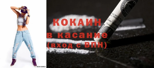 соль ск Алзамай