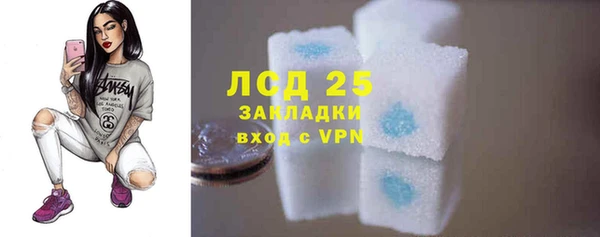 соль ск Алзамай