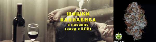 соль ск Алзамай