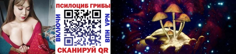 что такое   Аргун  Псилоцибиновые грибы мухоморы 
